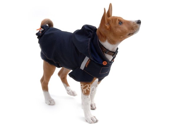 Obleek - pltnka pro psa Lea modr s kapuc