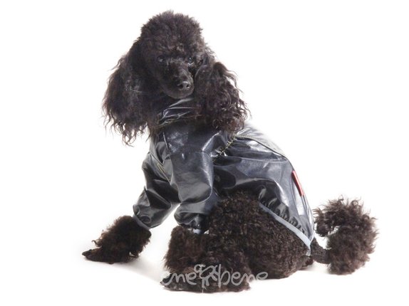 Pršiplašť pre psa Tara s rukávky čierna, sivý lem