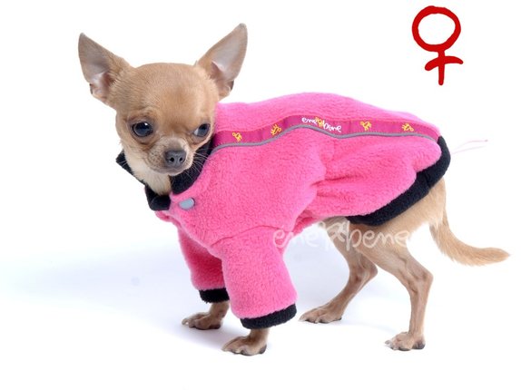 Mikina pre psa Zonny ružová - sučka