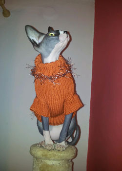 svetr kočička sphynx